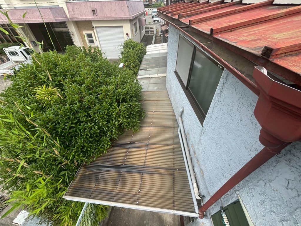 植栽が接する波板屋根